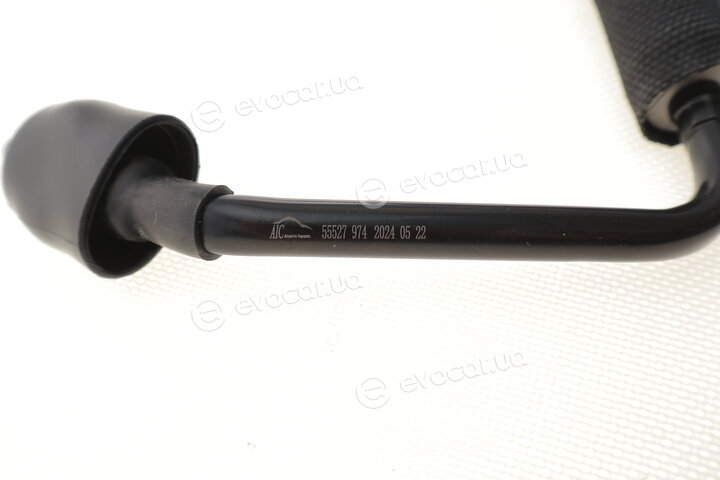 AIC 55527