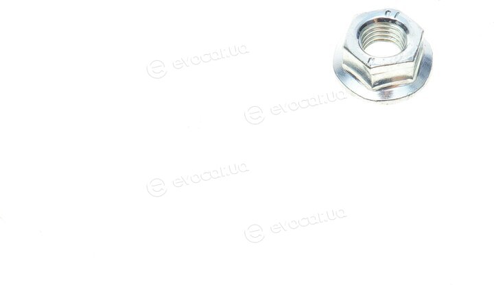 Solgy 203091