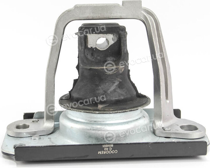 Goodrem RR4851