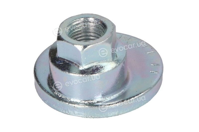 Tedgum TED48023