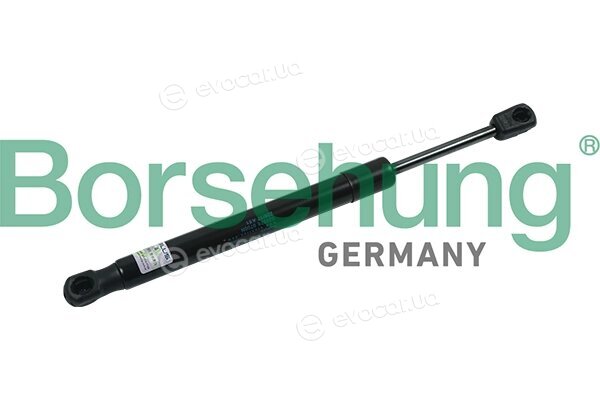 Borsehung B18438