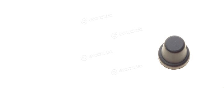 Frenkit 757528