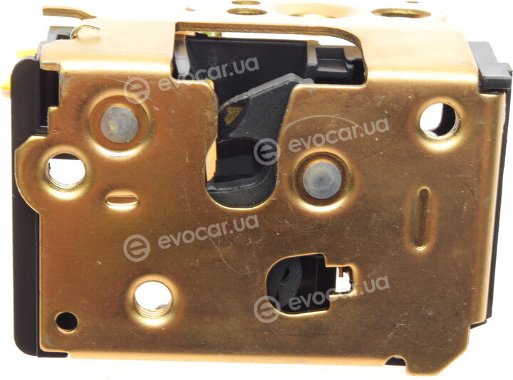 Solgy 305099