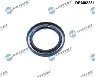 Dr. Motor DRM02231