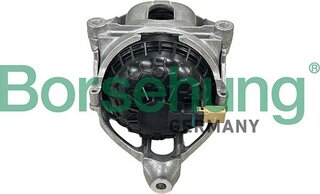 Borsehung B13370