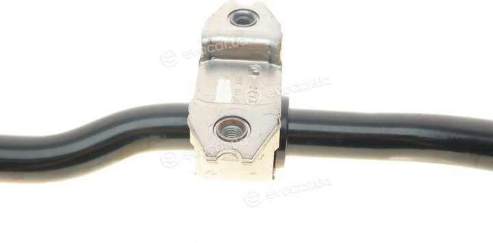 Borsehung B12619