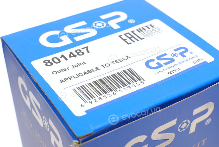 GSP 801487