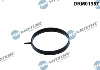 Dr. Motor DRM01957