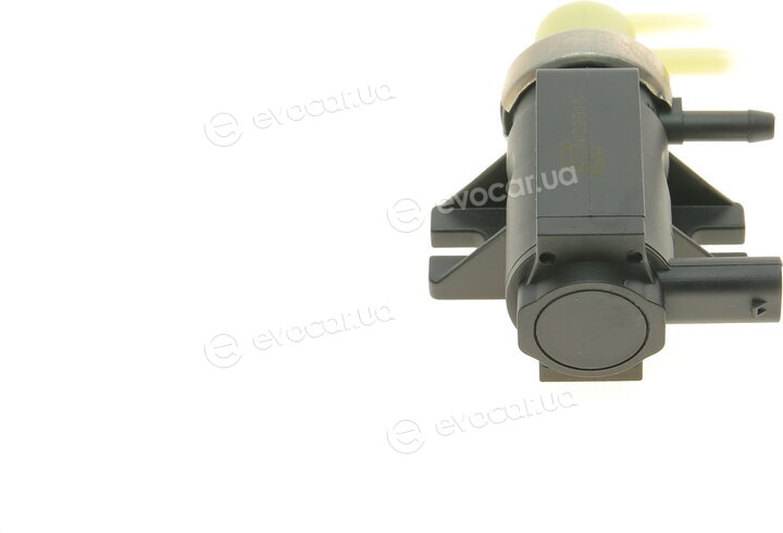 Solgy 402013