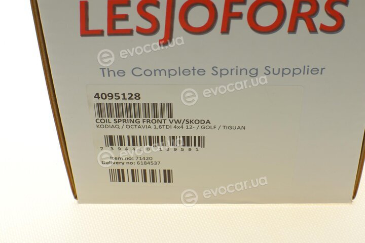 Lesjofors 4095128