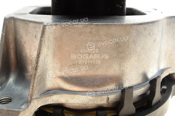 Bogap B1911119