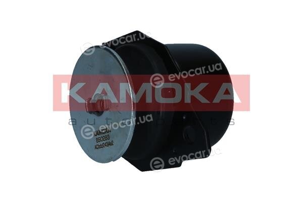 Kamoka 890283