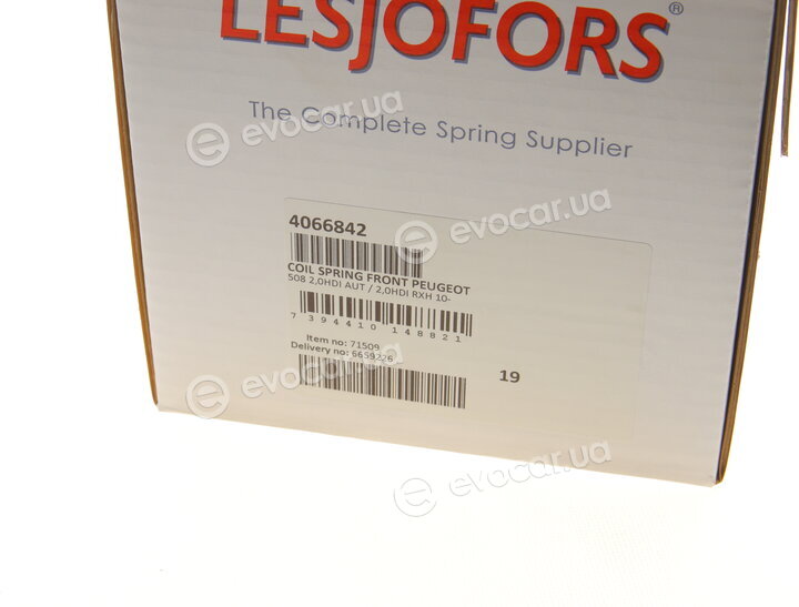 Lesjofors 4066842