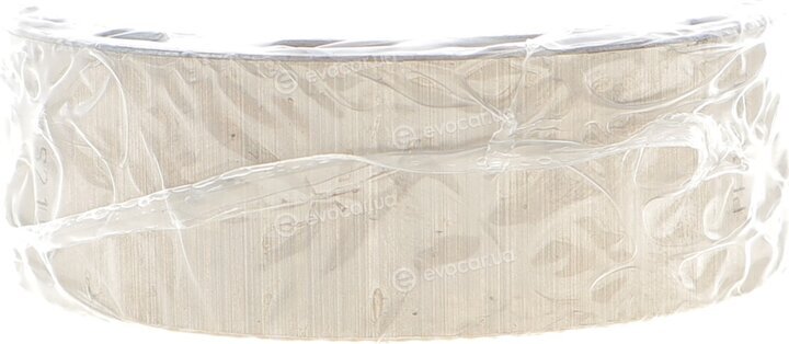 Mahle 029 PL 21921 025