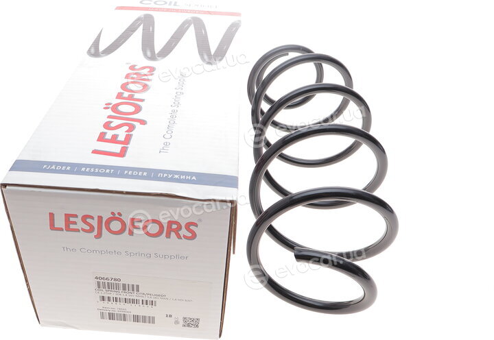 Lesjofors 4066780