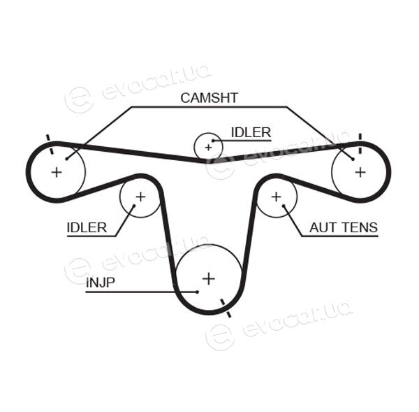 Gates K015594XS