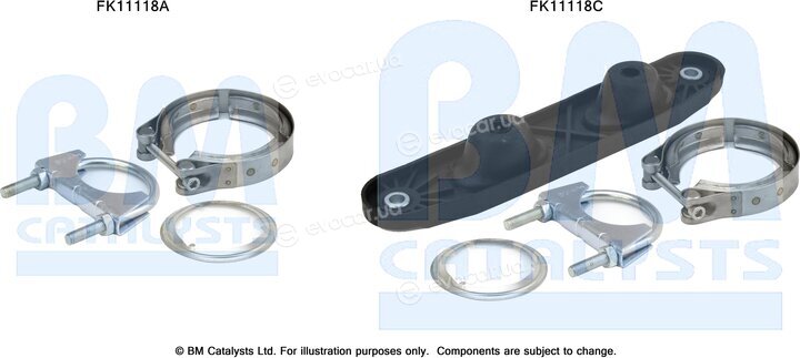 BM Catalysts FK11118