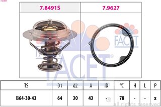 Facet 7.8491