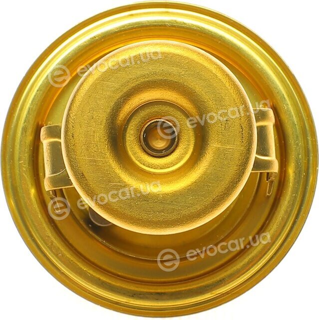 Wahler / BorgWarner 4126.88