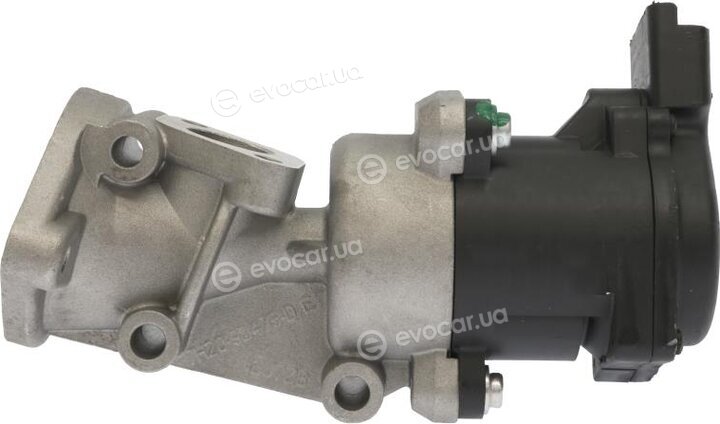 Starline ED STEG113-N