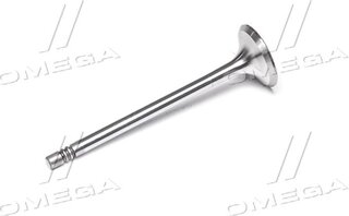 Gunes 4582