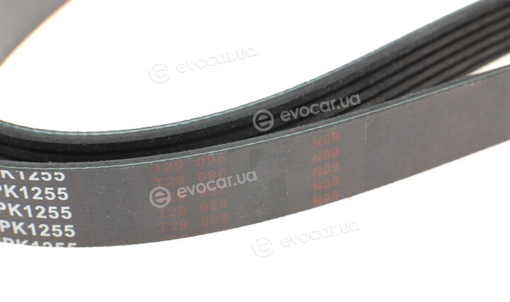 Blue Print AD06R1255