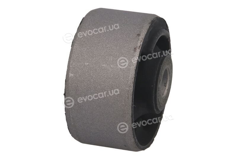 Tedgum TED50810