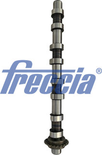 Freccia CM05-2418