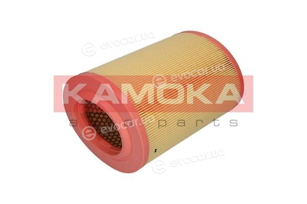 Kamoka F213901