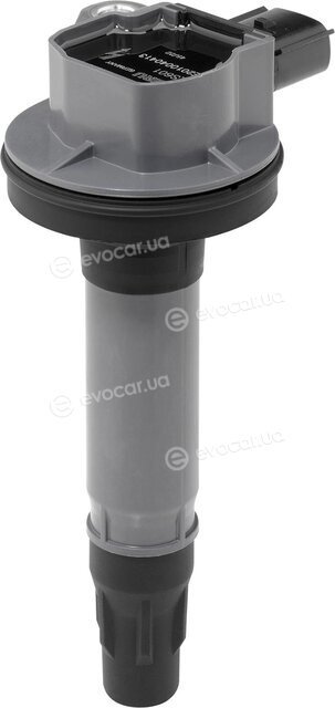 Beru ZS601