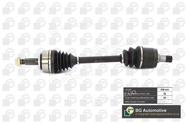 BGA DS2519L