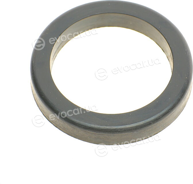 Elring 308.520