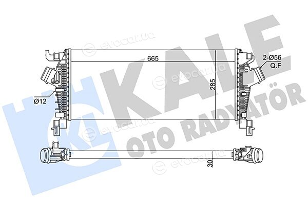 Kale 375790
