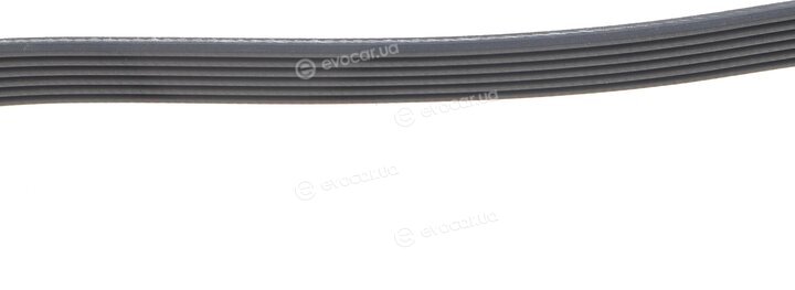 Dayco 6PK1341