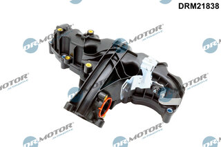Dr. Motor DRM21838