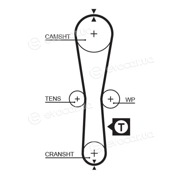 Gates K015454XS