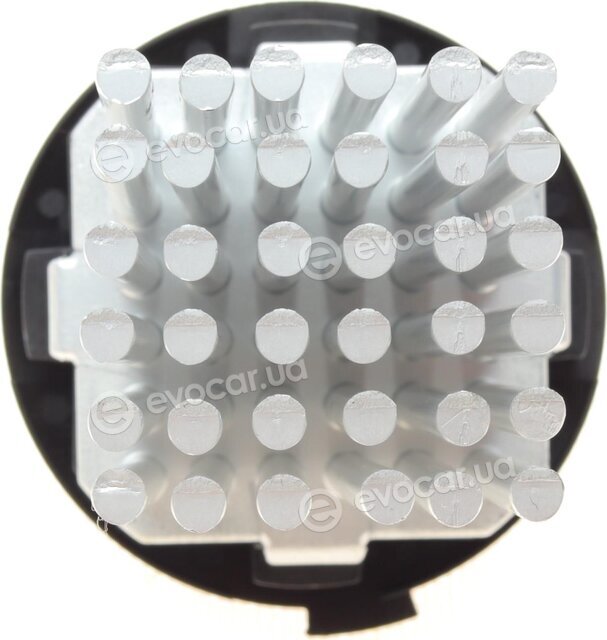 Rotweiss RW82081