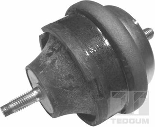 Tedgum 00145015