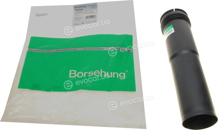 Borsehung B10154