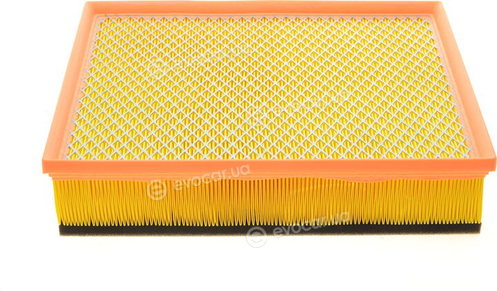 Borsehung B10526