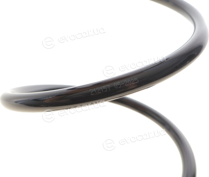 Solgy 212157