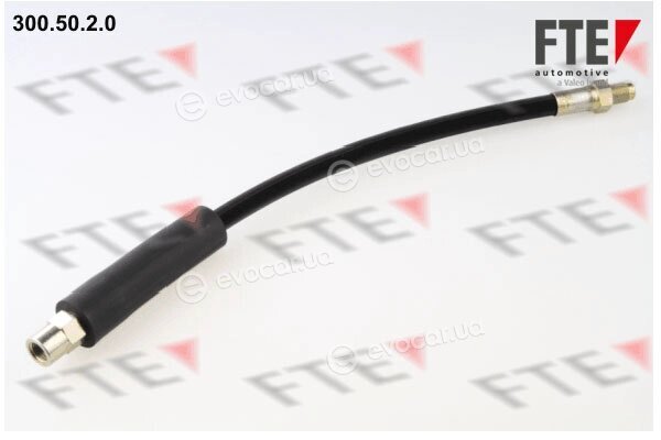 FTE 9240019