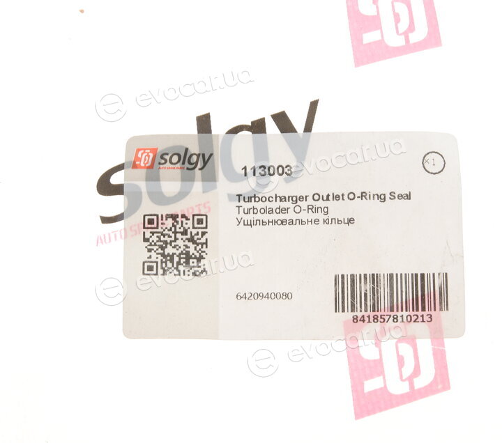 Solgy 113003