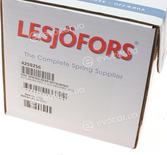 Lesjofors 4259256