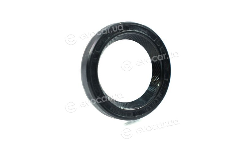 Elring 293.946