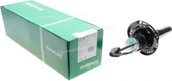 Borsehung B14724