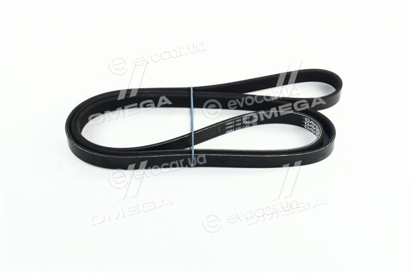 Dayco 5PK1800