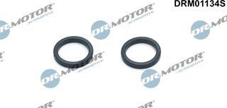 Dr. Motor DRM01134S