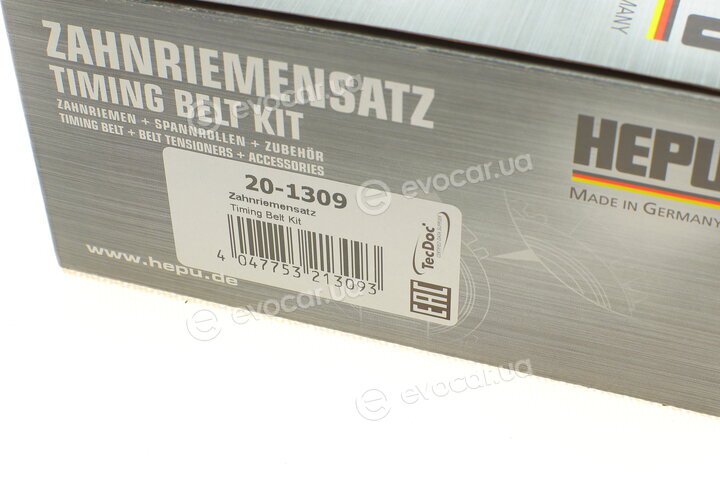 Hepu 20-1309
