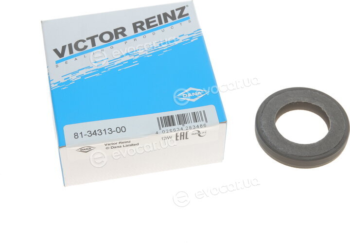 Victor Reinz 81-34313-00